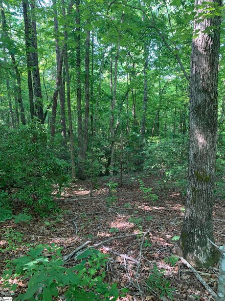 777 Trammell Rd, Travelers Rest, SC 29690