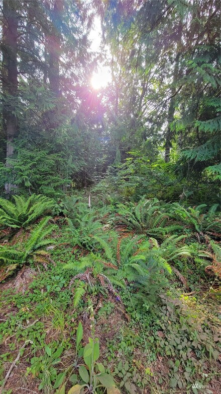 2075 Baby Doll Rd E, Port Orchard, WA 98366