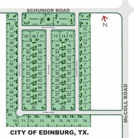 509 N Alexandrite Ave, Edinburg, TX 78541