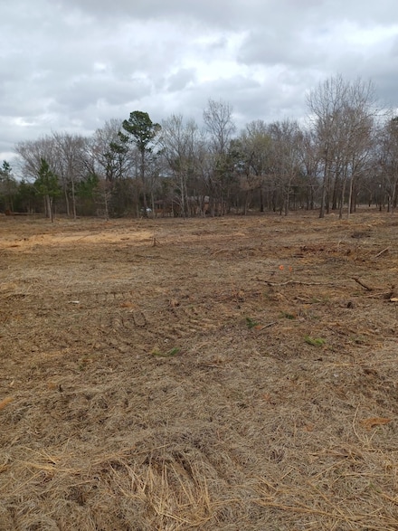 3173 County Road 415, Tyler, TX 75704