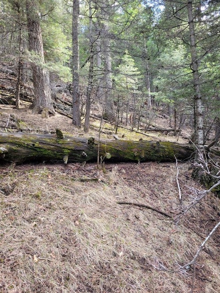 2 Cougar Rd, Cloudcroft, NM 88317