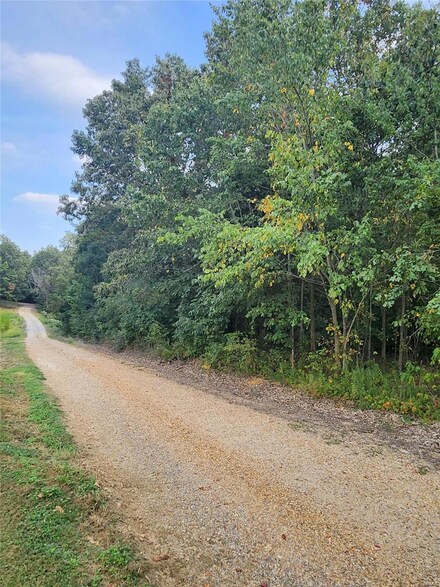 0 N Hickory St Unit 23057925, Dexter, MO 63841
