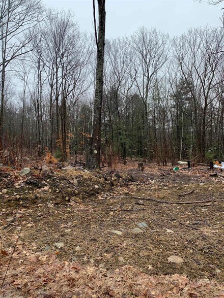 00 Franconia Dr, New Durham, NH 03855