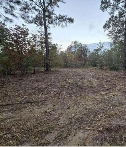 Lot 14 Ash Ln, Williston, SC 29853