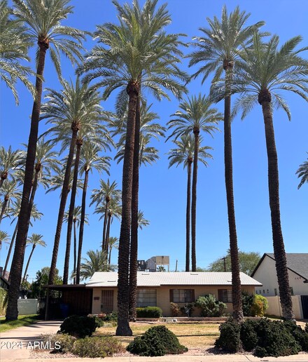 4419 N 43rd Place, Phoenix, AZ 85018