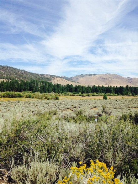 unit 2 lot 2 Twin Lakes Rd Unit 2, Bridgeport, CA 93517