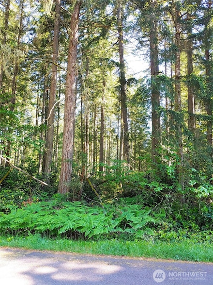 11203 Juniper Place, Anderson Island, WA 98303