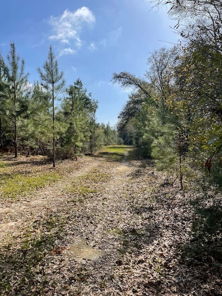 0 Alabama 55, Andalusia, AL 36420