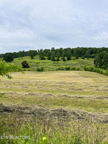 Tract 3 Highway 92, Rutledge, TN 37861