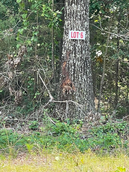 Lot 6 Pleasant Ridge Rd, Greers Ferry, AR 72067