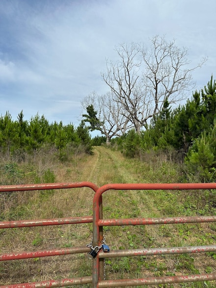 County Highway 7, Repton, AL 36475