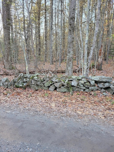 00 Henry Rd, Georgetown, ME 04548