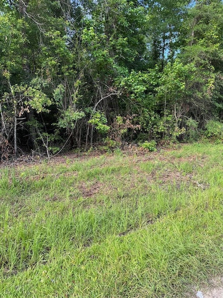 362 Timber Ln, Abbeville, AL 36310