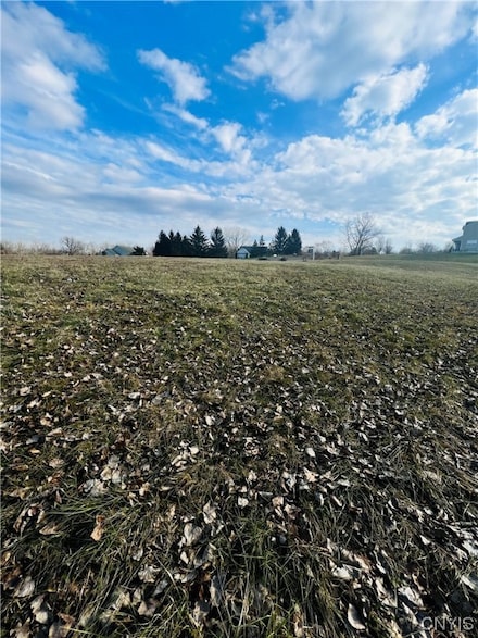 0 Will New Blvd Unit S1521106, Canastota, NY 13032