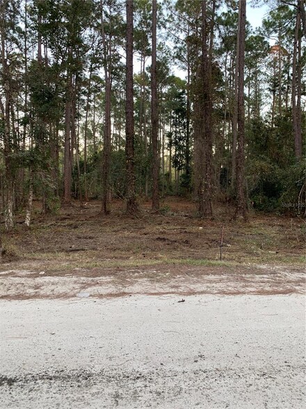 2415 Central Pkwy, Deland, FL 32724