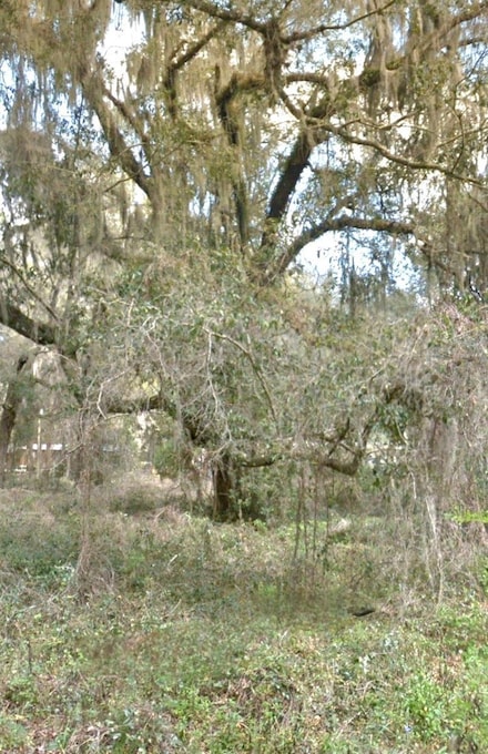 000 NE 192 Place, Citra, FL 32113