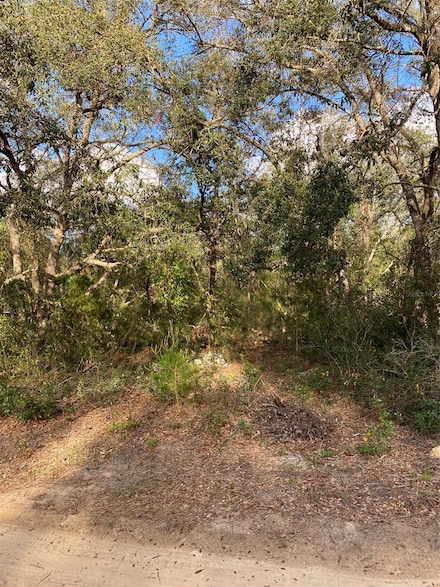 0 Dogwood Way Unit MFRG5094033, Lady Lake, FL 32159