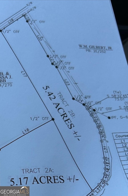 0 Walter Way Tract 2 Unit 20174191, Lavonia, GA 30553