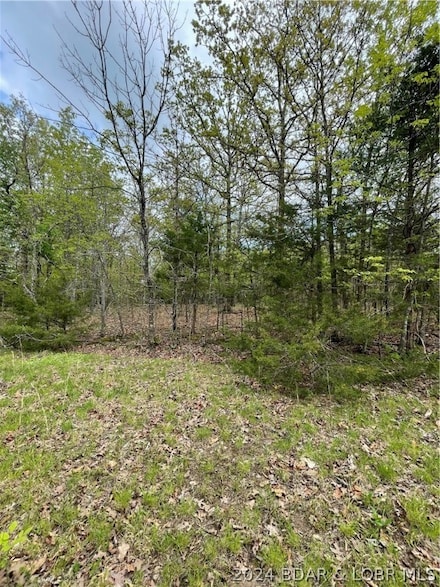 0 Indian Rock Ave, Osage Township, MO 65037