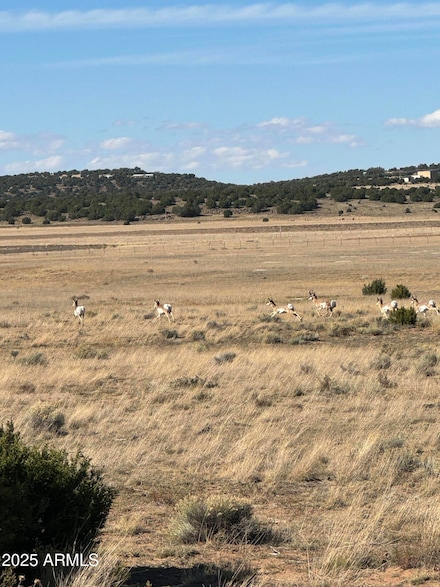TBD N 8640 Rd Unit 248, Concho, AZ 85924