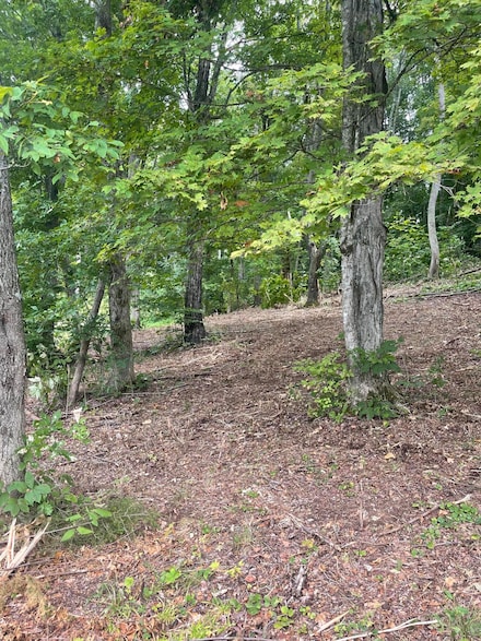 Lot 35 Chimney Top Ln, Chuckey, TN 37641
