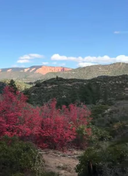 0 See Directions Unit 25-262399, Duck Creek, UT 84762