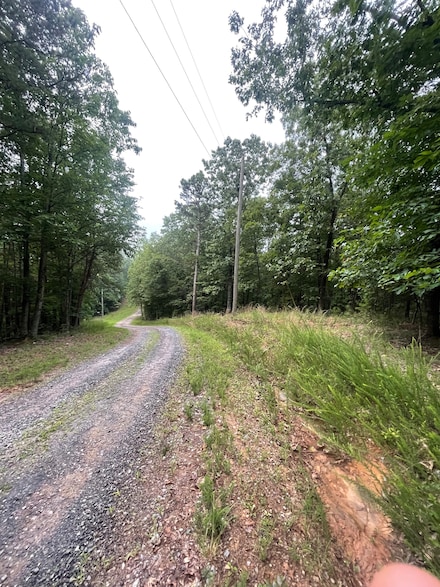 403 Jester Court North E, Ranger, GA 30734