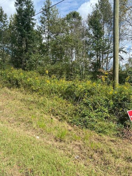 00 Old Trion Hwy, Trion, GA 30753
