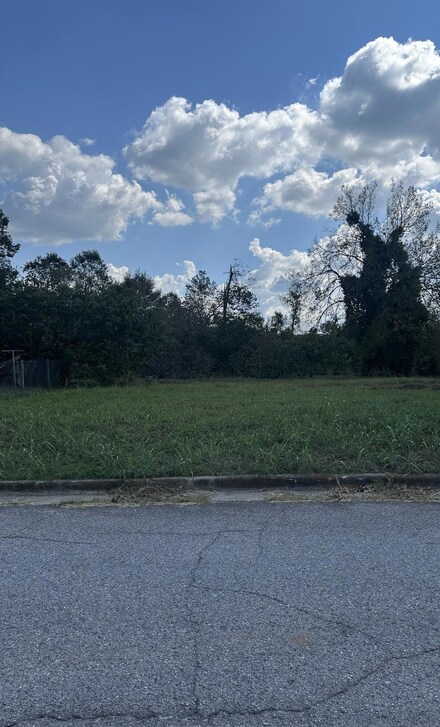 1408 Gormans Ln, Augusta, GA 30901