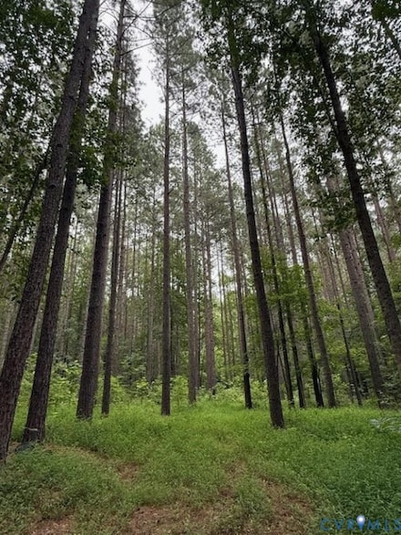 13 Acres Pridesville Rd, Amelia, VA 23002