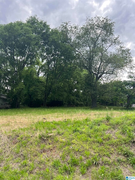 1416 4th Place N Unit 1.000, Birmingham, AL 35204