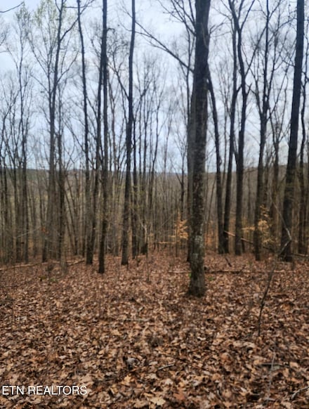 0 Upper Concord Rd Unit 1303356, Ten Mile, TN 37880