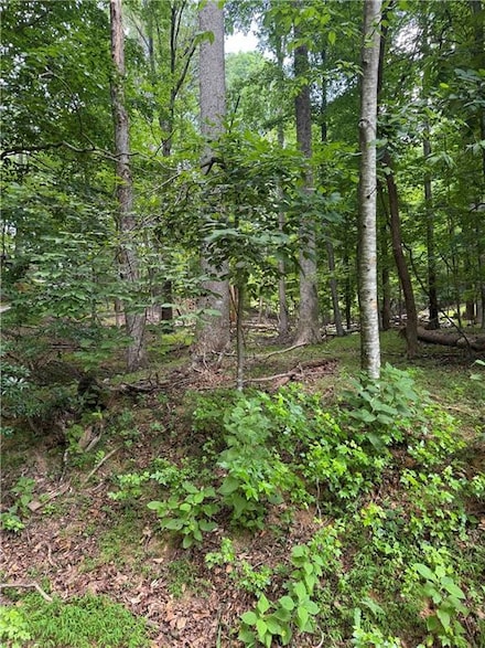 832+ N Duffer Dr, Jasper, GA 30143