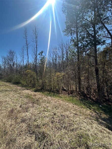 39 Jasmine Ln, Ramer, AL 36069