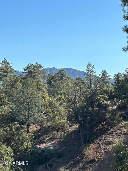 3100 E Pleasant Valley Unit 244, Payson, AZ 85541