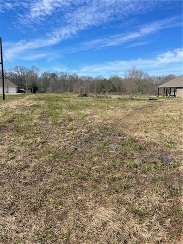 26411 Clyde Blount Rd, Livingston, LA 70754