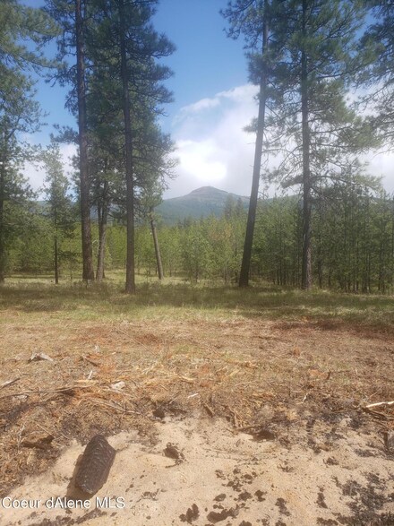 9 Mansours Place, Oldtown, ID 83822
