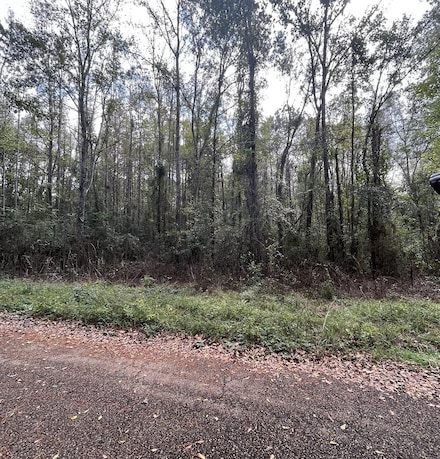 1069 Morgantown Rd, McComb, MS 39648