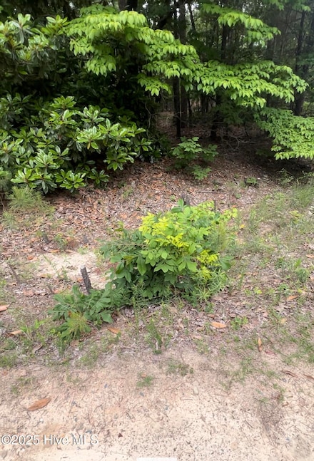 0 Jones St, Aberdeen, NC 28315