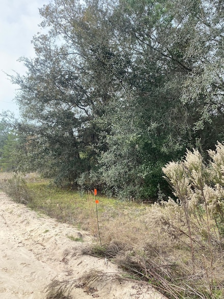 Frank St, Interlachen, FL 32148