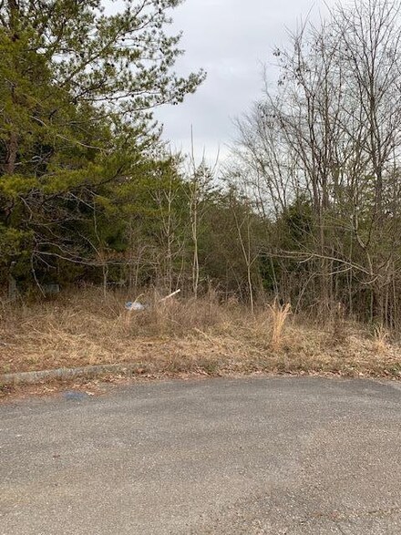 Lot 52 Kenneth Overlook, Kodak, TN 37764