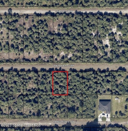 834 Saltwater St, Palm Bay, FL 32908