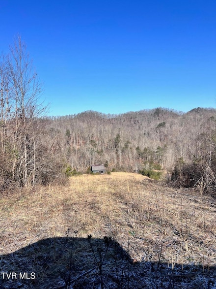 Tract 2 Bundren Mountain Rd, Tazewell, TN 37879