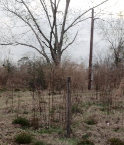21277 Babbie Rd, Andalusia, AL 36421