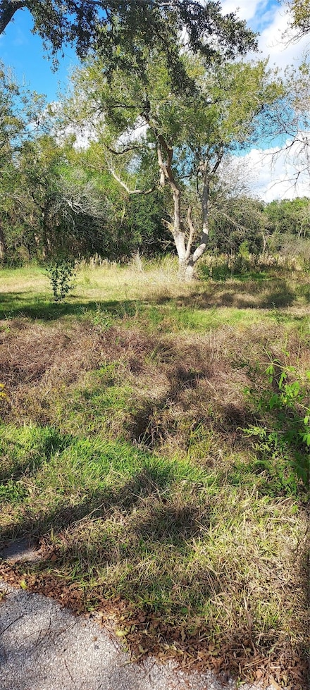 8828 Calagna Rd, Hitchcock, TX 77563