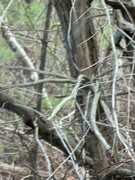 51 Holly Pond Rd, Marion, MA 02738