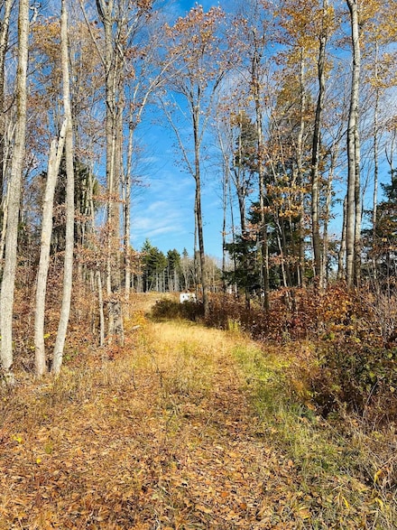 227 Gault Rd, Wardsboro, VT 05355