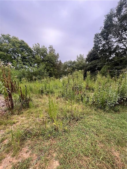 13 Liberty St, Gainesville, GA 30501