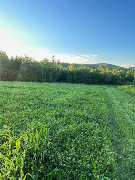 1 Battle St, Webster, NH 03303