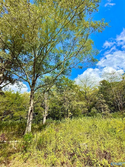 158 Lyons Rd, Decatur, AL 35603